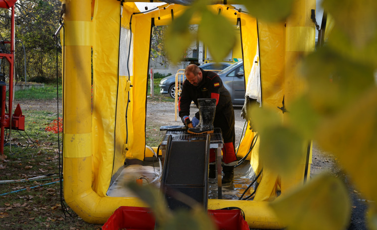 Pesta porcina africana: la diferència entre les cepes del brot i el laboratori deixa més preguntes que abans