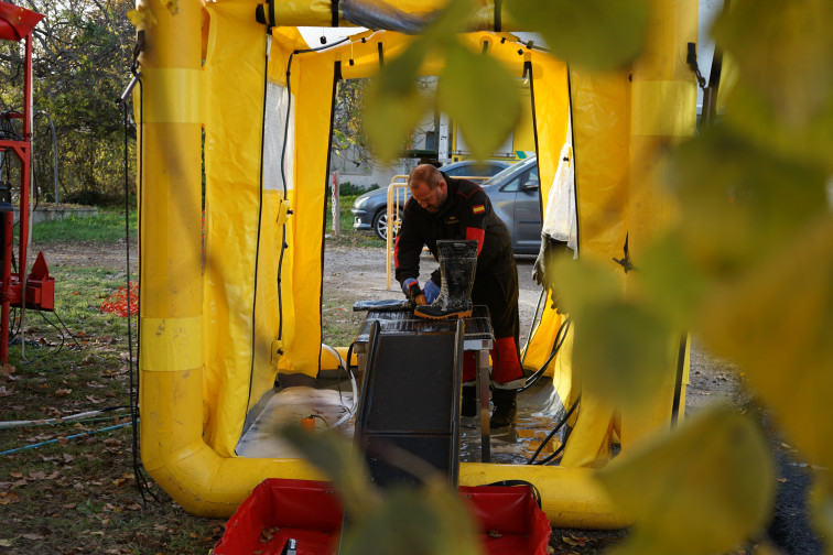 Pesta porcina africana: la diferència entre les cepes del brot i el laboratori deixa més preguntes que abans
