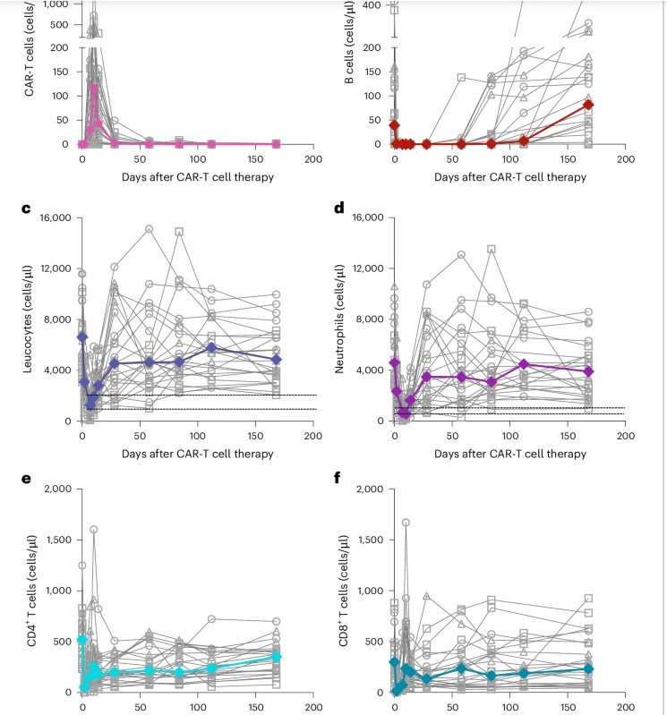 Estudio 555555555555