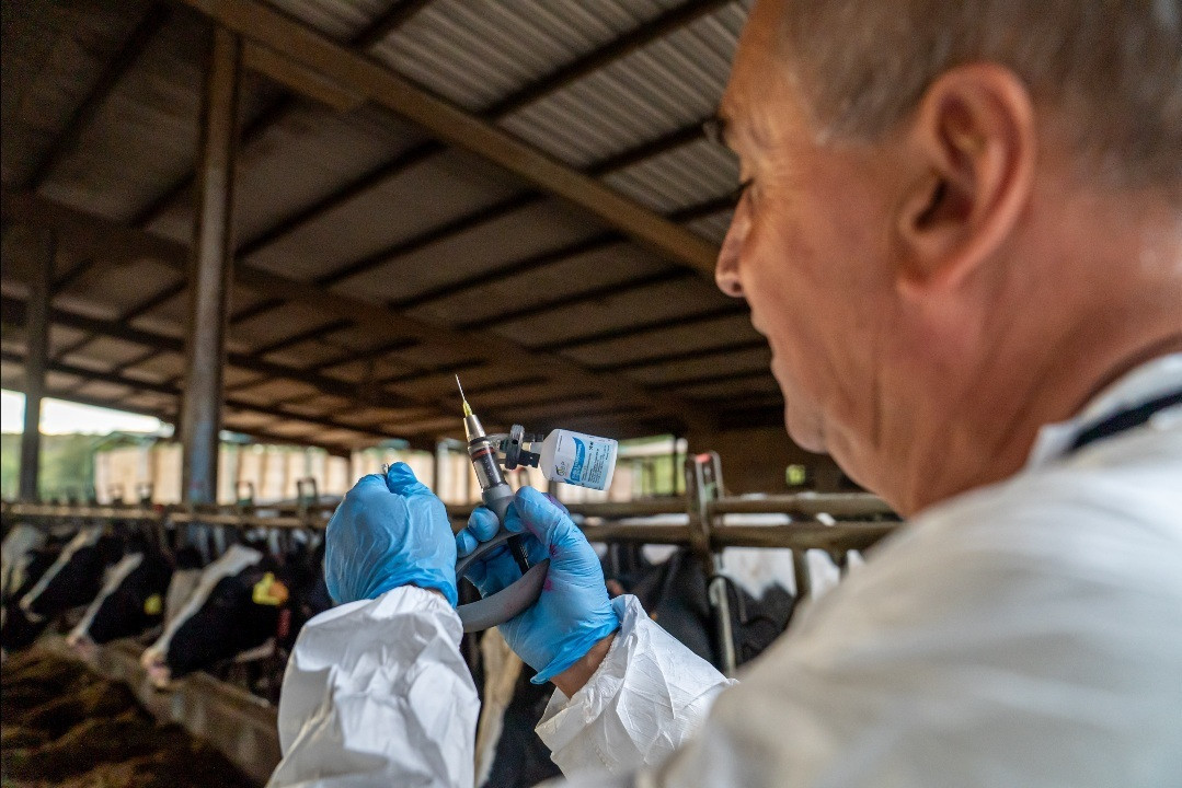 EuropaPress 7053041 plan vacunacion dermatosis nuclear contagiosa dnc