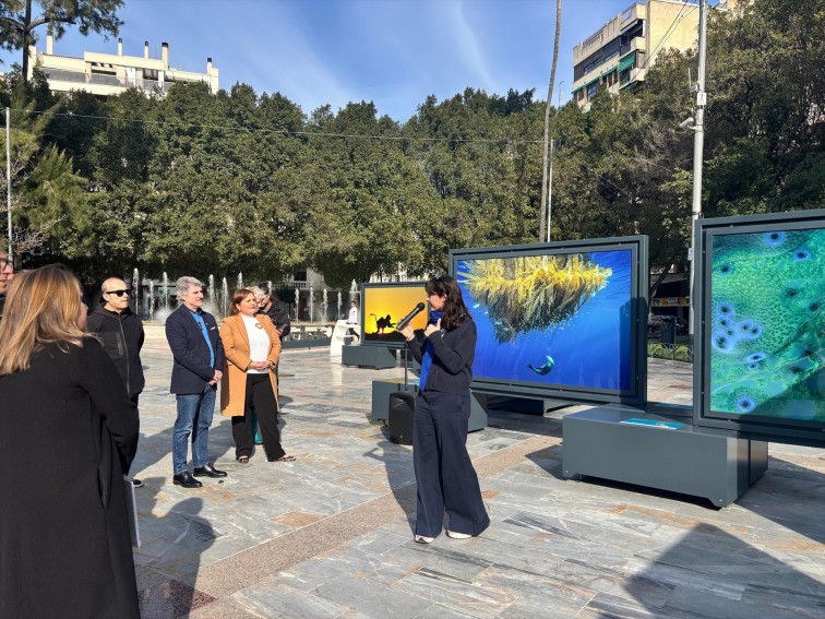 Fundació La Caixa ofereix un viatge pels 'Colors del món' a Oriola