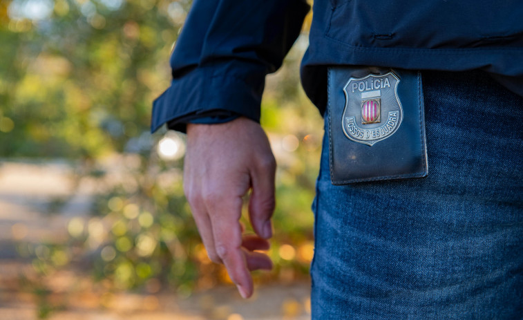 Cau la banda especialista en robatoris a la força que atemoria comerços de l'àrea metropolitana