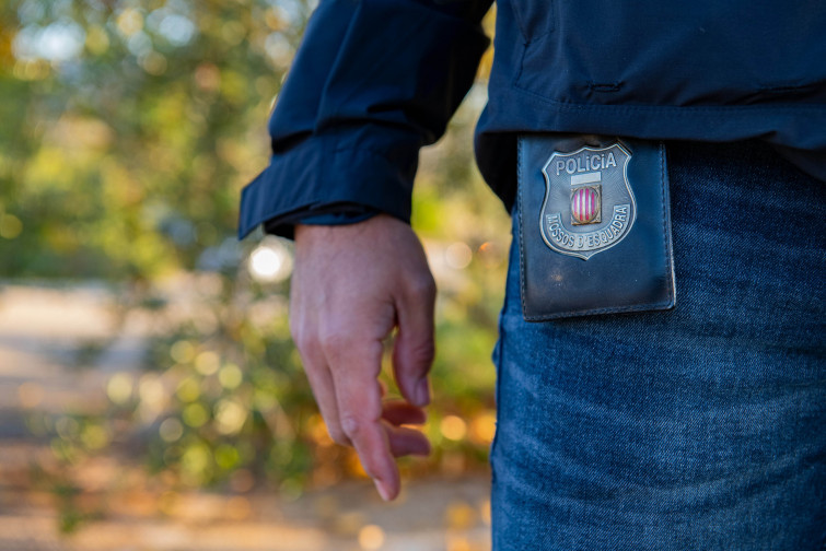 Cau la banda especialista en robatoris a la força que atemoria comerços de l'àrea metropolitana