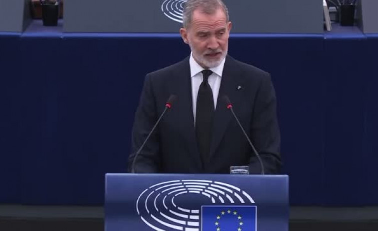 Què fa El Rei Felip VI  al Parlament Europeu?