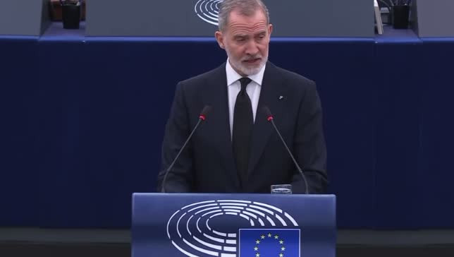 Què fa El Rei Felip VI  al Parlament Europeu?