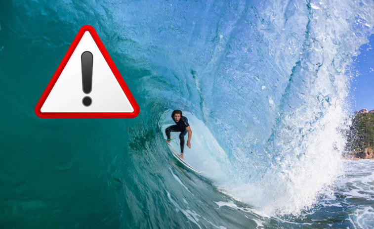 Terror al mar: un tauró blanc mata a un surfista davant els seus amics en un atac brutal