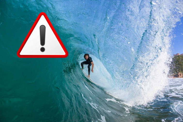 Terror al mar: un tauró blanc mata a un surfista davant els seus amics en un atac brutal