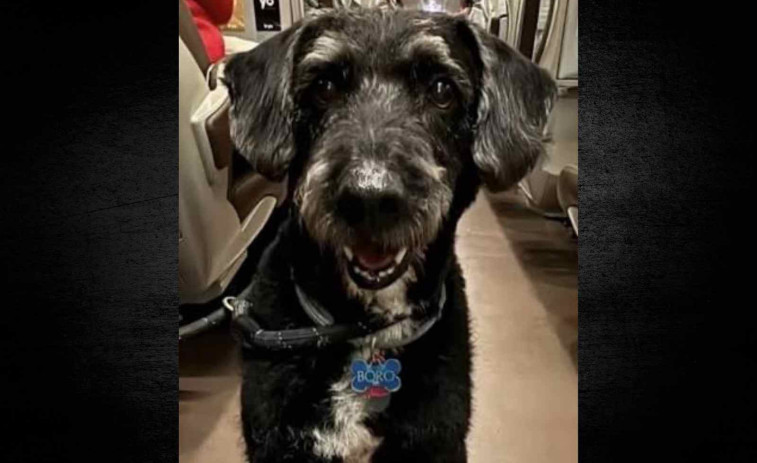 Boro torna a casa i es retroba amb la seva família després de sobreviure al descarrilament d'Adamuz