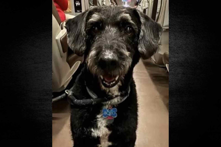 Boro torna a casa i es retroba amb la seva família després de sobreviure al descarrilament d'Adamuz