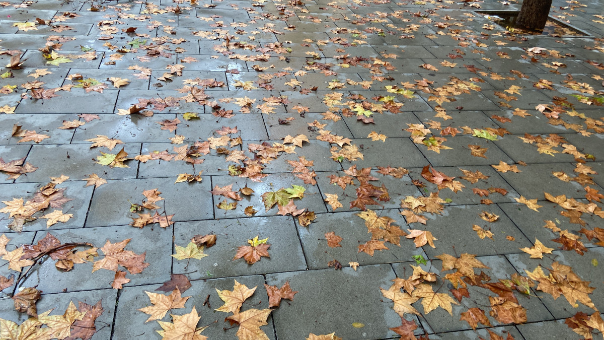 D557DAEF BDCD 425E BE4B B3D5CEF48E62