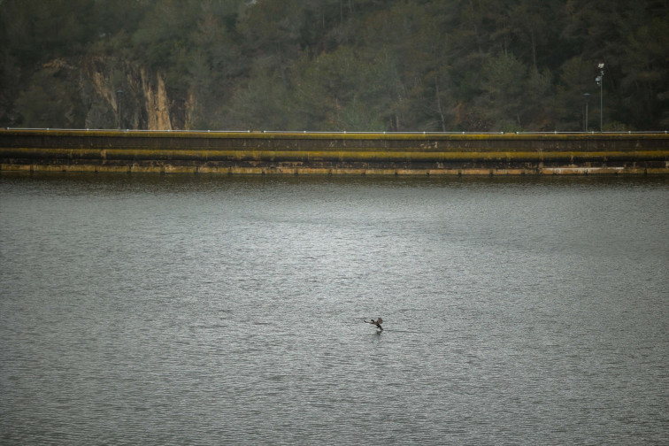 Les conques internes catalanes estan al 92% i creixen 6 punts en una setmana pel temporal