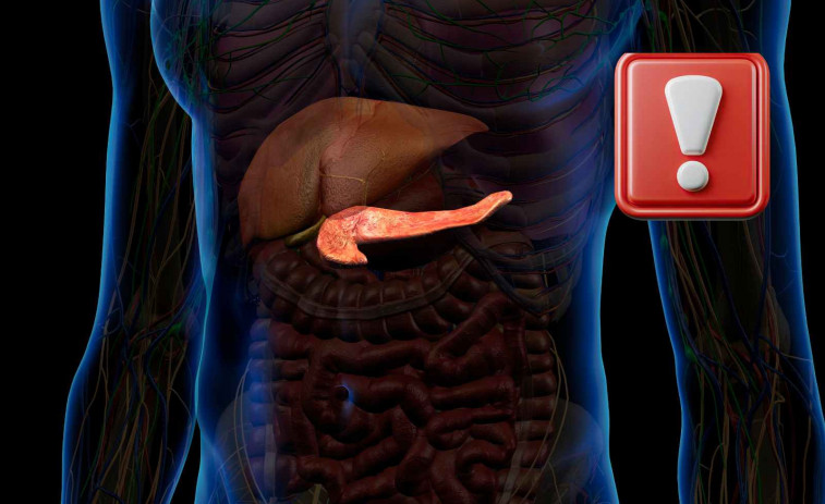 Càncer de pàncrees: científics espanyols aconsegueixen la primera cura total en animals