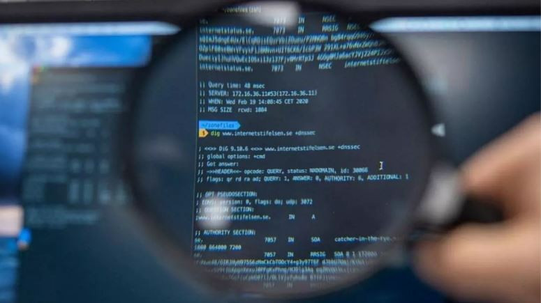 Terminal empresa ciberseguridad