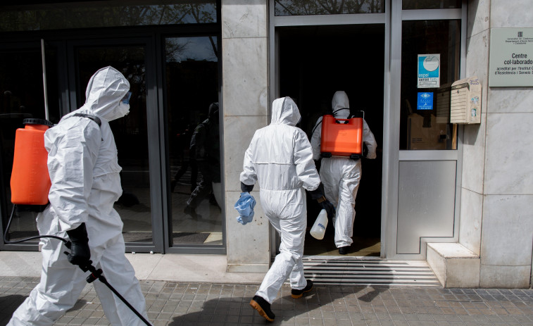 Virus Nipah a l'Índia: nous detalls de l'OMS sobre un brot misteriós