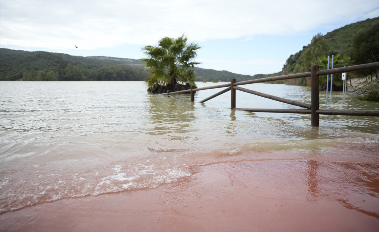 Més de 110 preses a Espanya necessiten 