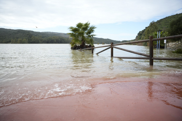 Més de 110 preses a Espanya necessiten 