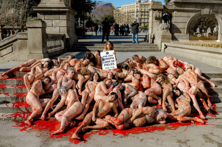 Desenes d'activistes es manifesten nus a Barcelona per a exigir la fi de les granges pelleteres