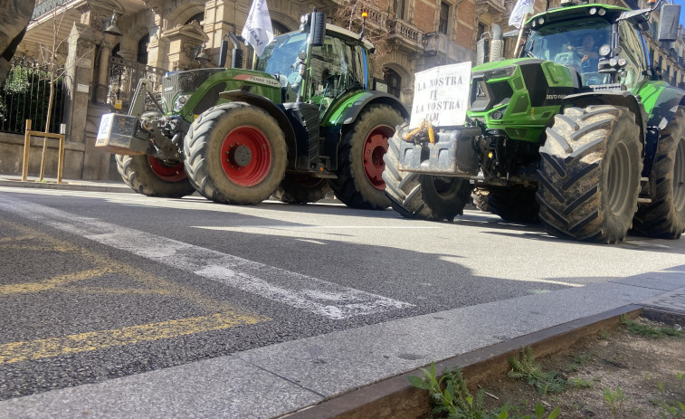 Fre a l'impacte del Mercosur: El Parlament Europeu aprova un escut per protegir l'agricultura