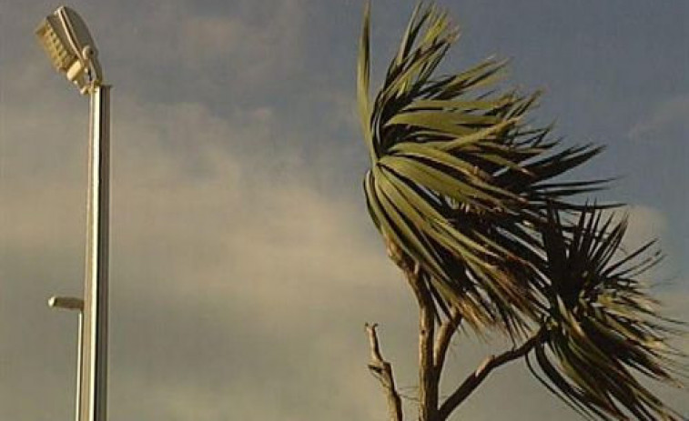 L'episodi de vent a Catalunya deixa 323 avisos al 112 fins a les 9.00