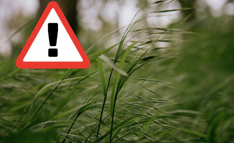 Alerta màxima per vent a Catalunya: recomanen teletreball i evitar desplaçaments innecessaris