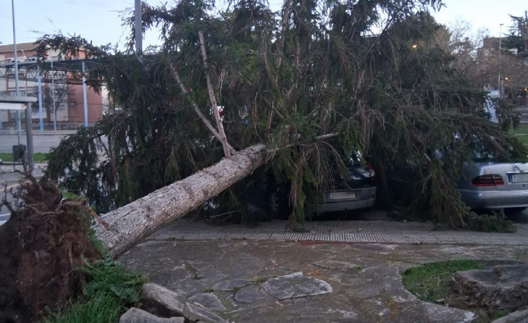 Les ventades a Barcelona es cobren una víctima mortal i deixen sis ferits hospitalitzats