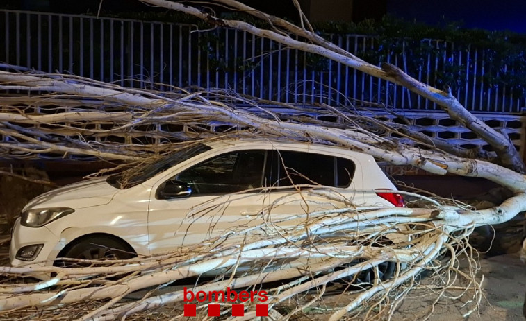 El temporal de vent de Catalunya en imatges: arbres caiguts, i carreteres afectades