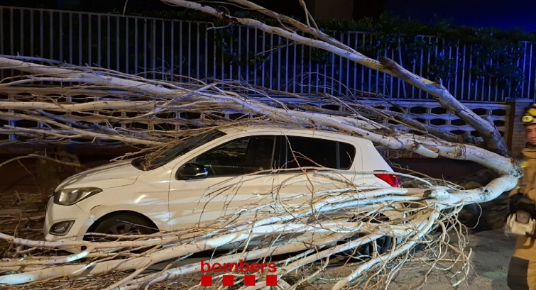 El temporal de vent de Catalunya en imatges: arbres caiguts, i carreteres afectades