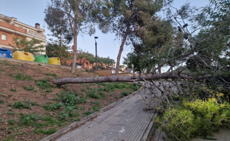 El 112 rep un allau de trucades i els serveis d'emergència demanen usar-lo només en cas de necessitat