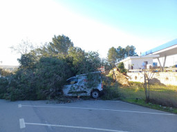 El fuerte temporal de viento sacude Martorell: tejados arrancados, árboles caídos y una carretera cortada