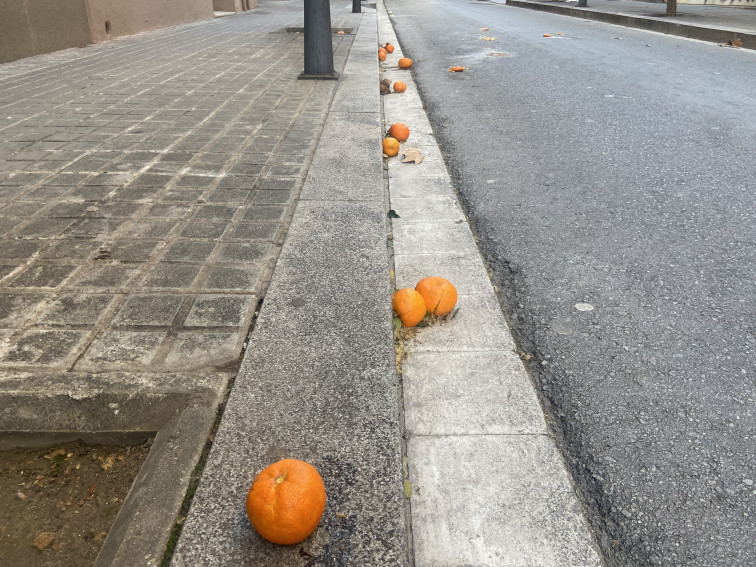 Alerta taronja: el fort temporal a Barcelona fa 