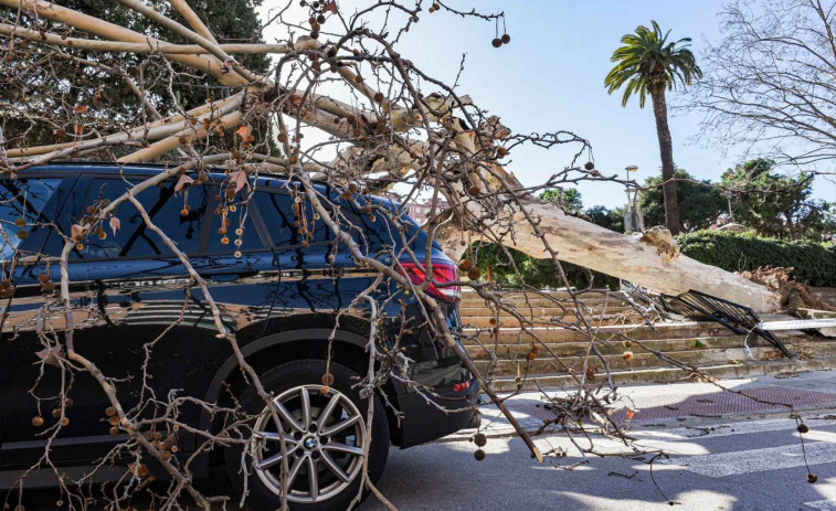 Qui paga el desastre? Com cobrar la teva assegurança després del temporal a Catalunya