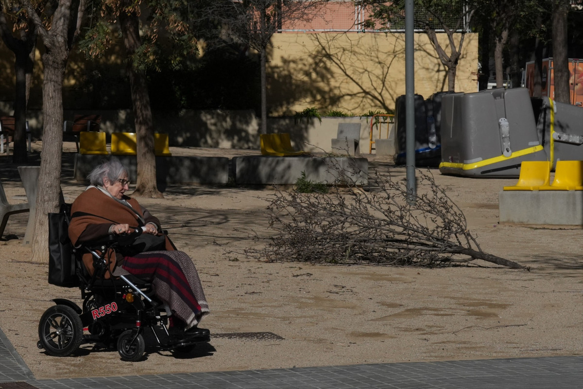 EuropaPress 7286115 varias ramas arrancadas viento 12 febrero 2026 barcelona catalunya espana