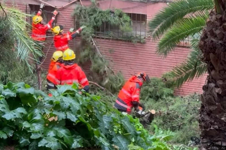 Avís urgent a L’Hospitalet: els Bombers actuen per arbres danyats a Can Serra