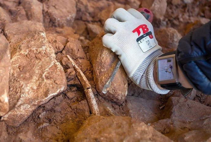 Els vents a Catalunya deixen el descobert un tros de Prehistòria a Paüls