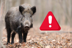 La PPA se extiende: estos son los municipios del Baix Llobregat en alto riesgo