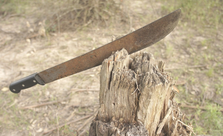 Interior endureix el control de matxets després d'alertes d'intel·ligència sobre violència juvenil