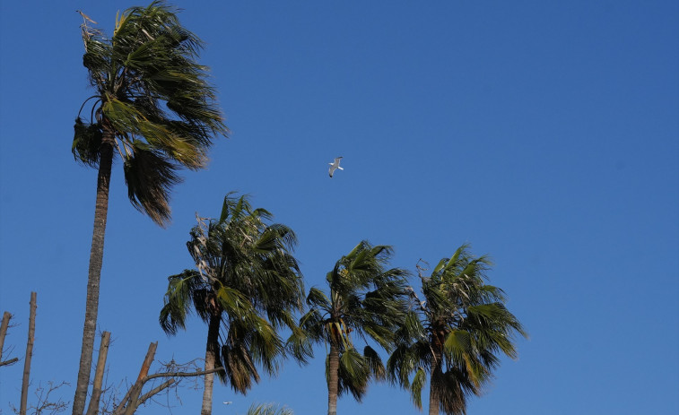 Protecció Civil activa el pla Ventcat per fort vent a partir d'aquest dimecres a la nit