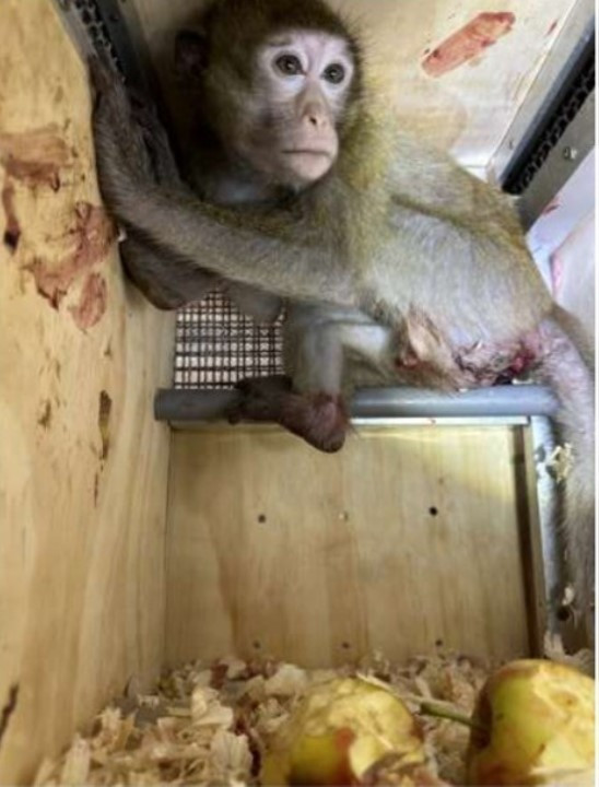 280524 03 HARTELUST 1