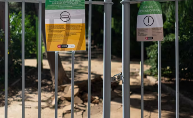 Barcelona activa l'alerta per forts vents i tanca parcs i jardins de la ciutat