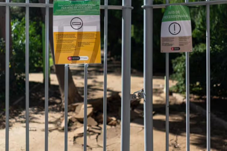 Barcelona activa l'alerta per forts vents i tanca parcs i jardins de la ciutat