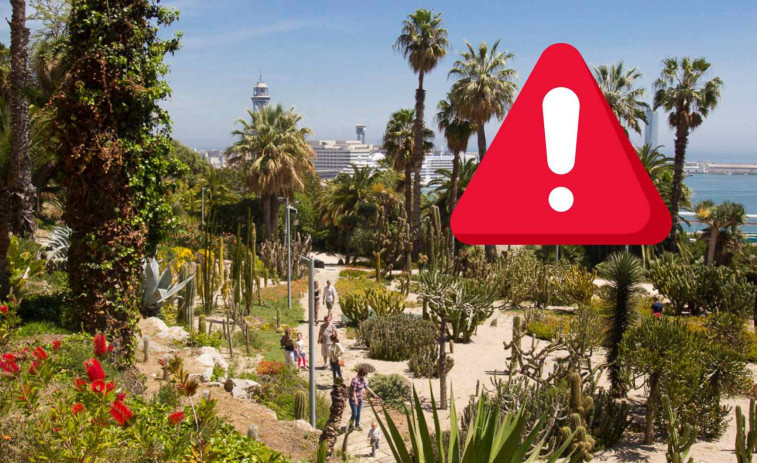 Violen a una dona de 45 anys que havia sortit a passejar al seu gos a Barcelona