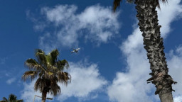 Duro golpe a Castelldefels: tumban todas sus alegaciones contra el ruido del Aeropuerto de El Prat