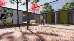 Martorell estrena refugio felino para 60 gatos: adopción y recuperación en un solo espacio