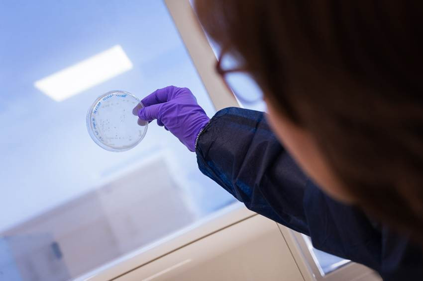 EuropaPress 7323447 csic crea anticuerpo protege in vitro celulas sistema inmune peligrosa