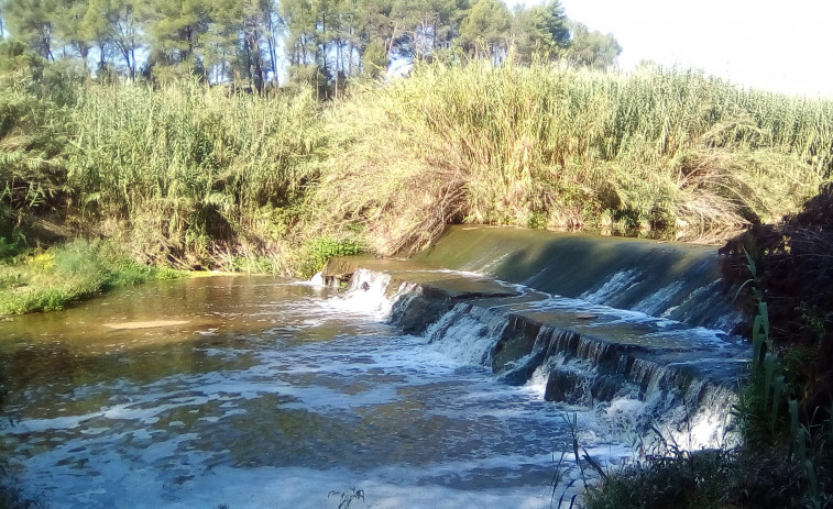 L'ACA saca a licitació la retirada d'una resclosa en desús a Sant Sadurní d'Anoia