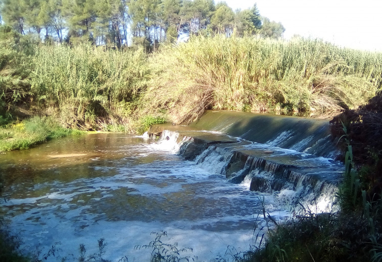 Esclusa en el río Anoia, en la zona cercana al Molí del Racó.