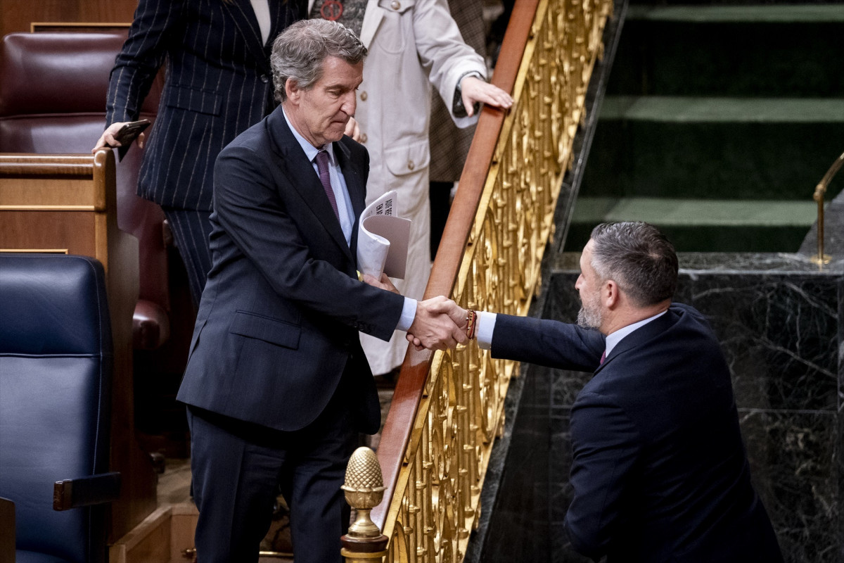 EuropaPress 7280799 presidente partido popular alberto nunez feijoo saluda presidente vox