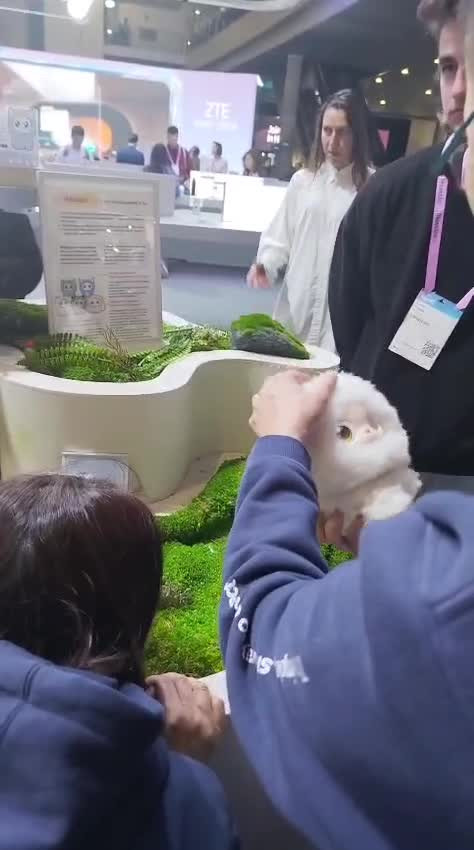 WhatsApp Video 2026 03 05 at 11.44.19