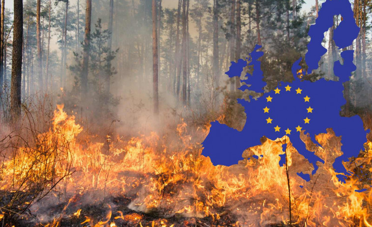 Més plagues i incendis forestals: així serà el futur d'Europa