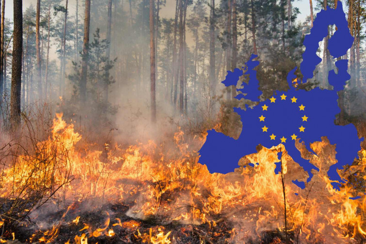 Més plagues i incendis forestals: així serà el futur d'Europa